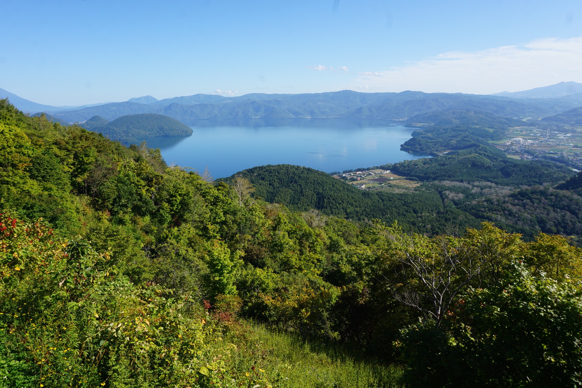 Obrázek