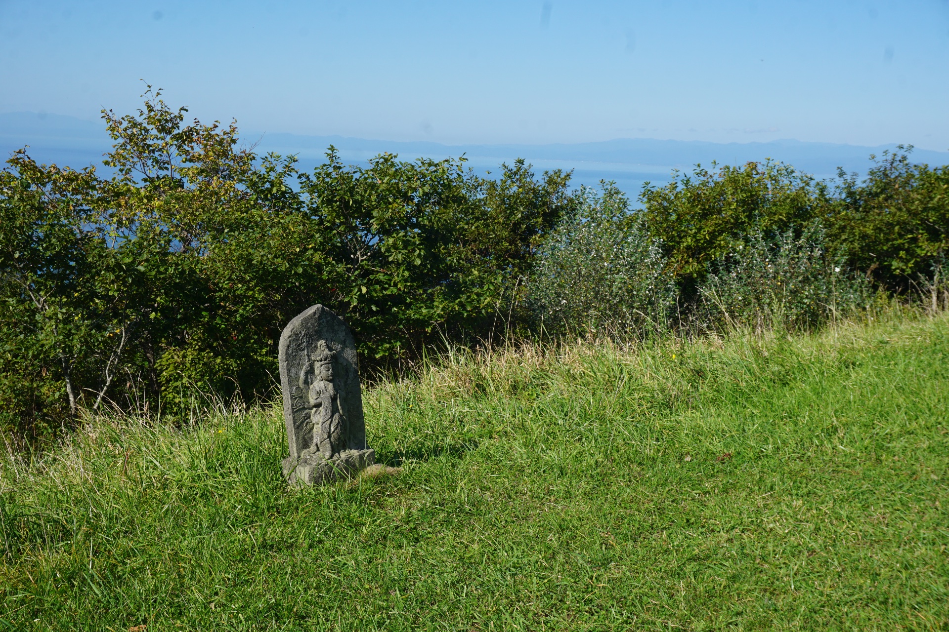 Obrázek